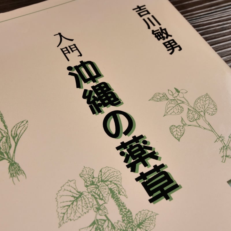 入門沖縄の薬草 吉川敏男 | 古書店うみつばめ 入門沖縄の薬草 吉川敏男 | 古書店うみつばめ