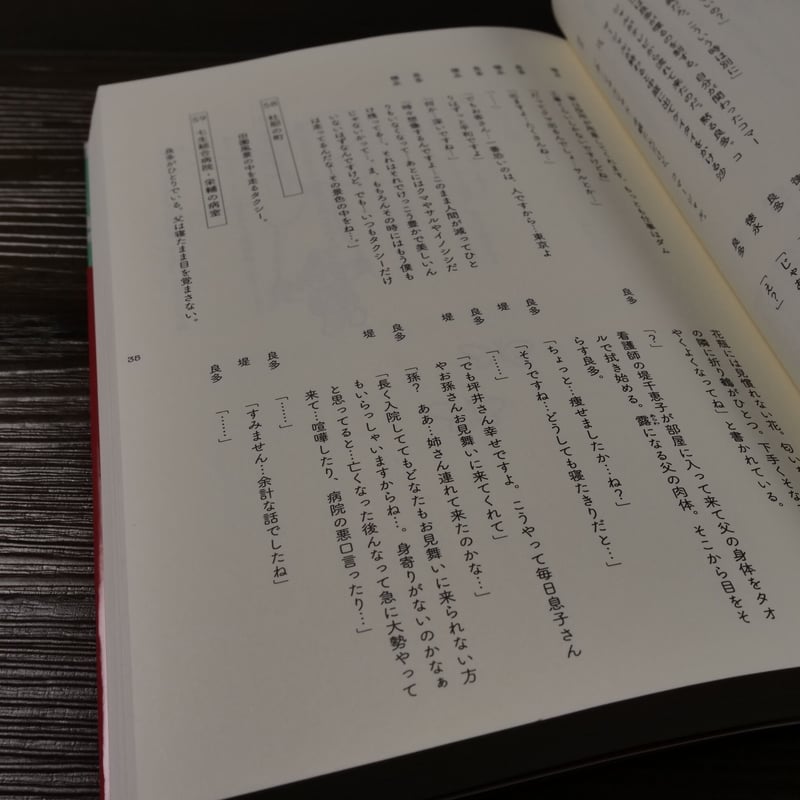 ゴーイングマイホーム シナリオ（B6判）是枝裕和 | 古書店うみつばめ