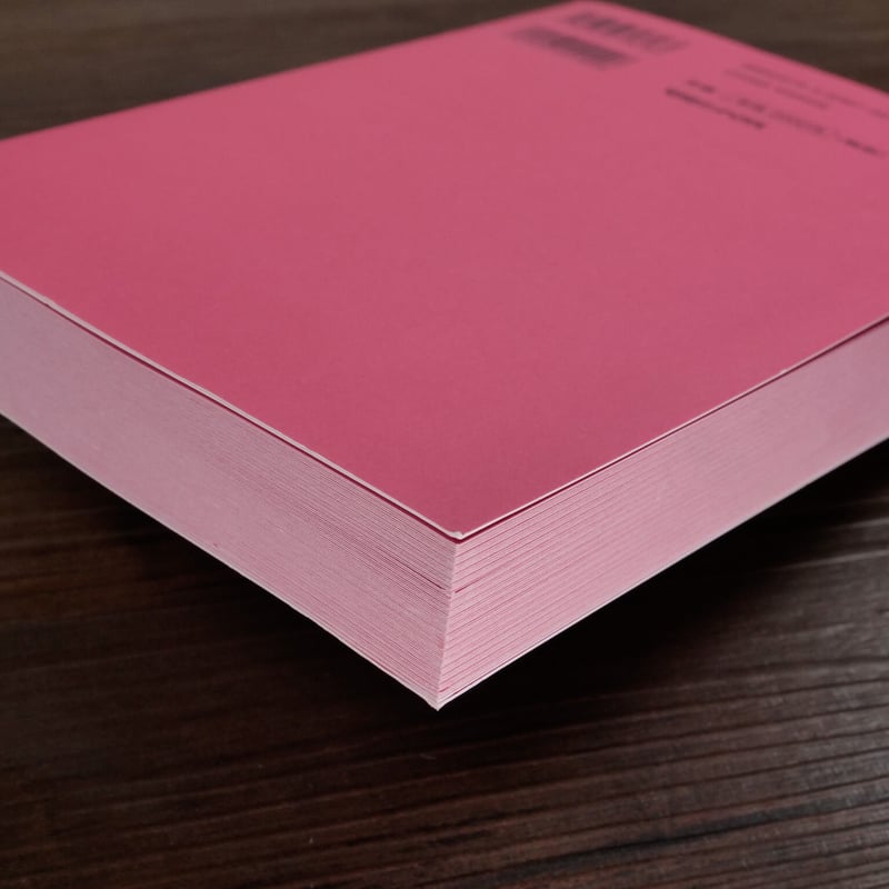 岡村靖幸 結婚への道（A5判）岡村靖幸 | 古書店うみつばめ