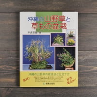 沖縄の山野草と草もの盆栽　宇良宗健