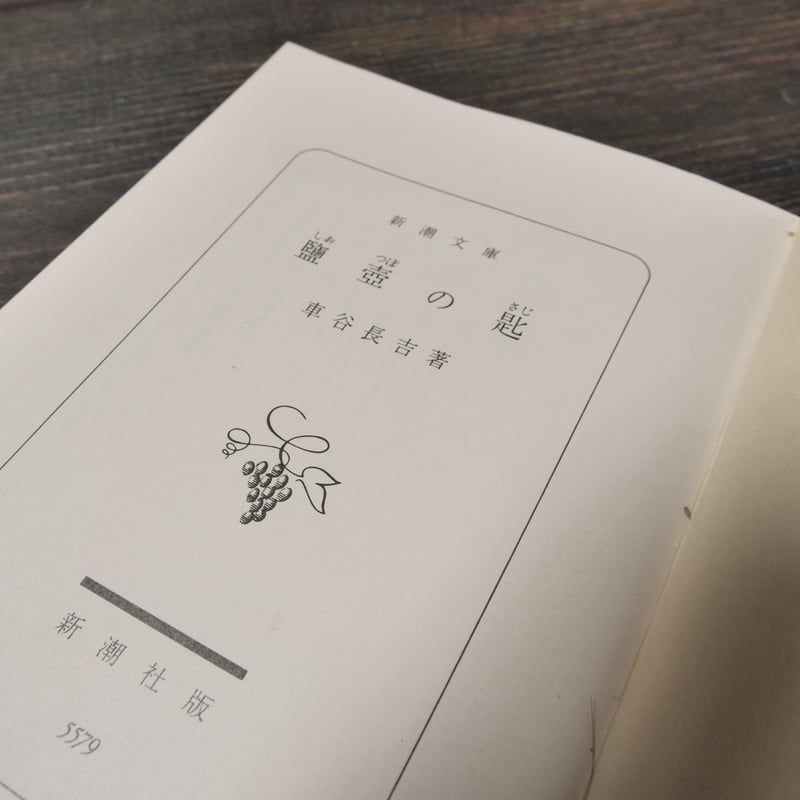 鹽壺の匙 車谷長吉 (新潮文庫） | 古書店うみつばめ