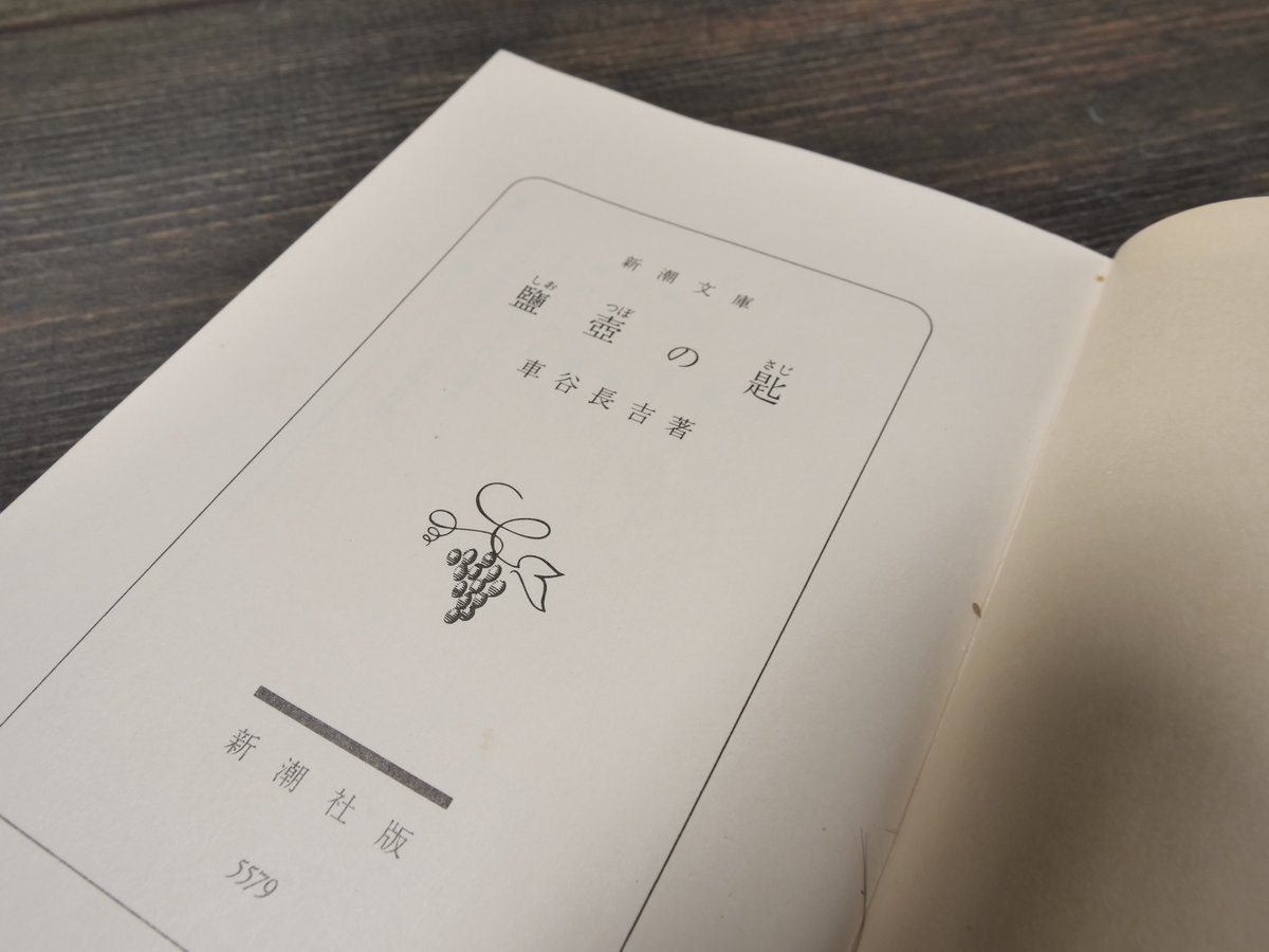 鹽壺の匙 車谷長吉 (新潮文庫） | 古書店うみつばめ