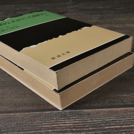 人間的な、あまりに人間的な　上下巻　	ニーチェ/阿部六郎  訳 （新潮文庫）　※再入荷