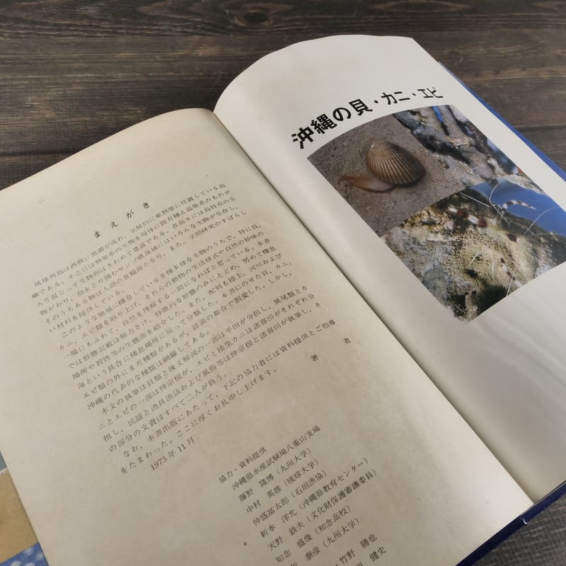 沖縄の貝・カニ・エビ 平田義浩・仲宗根幸男・諸喜田茂充／共著 | 古