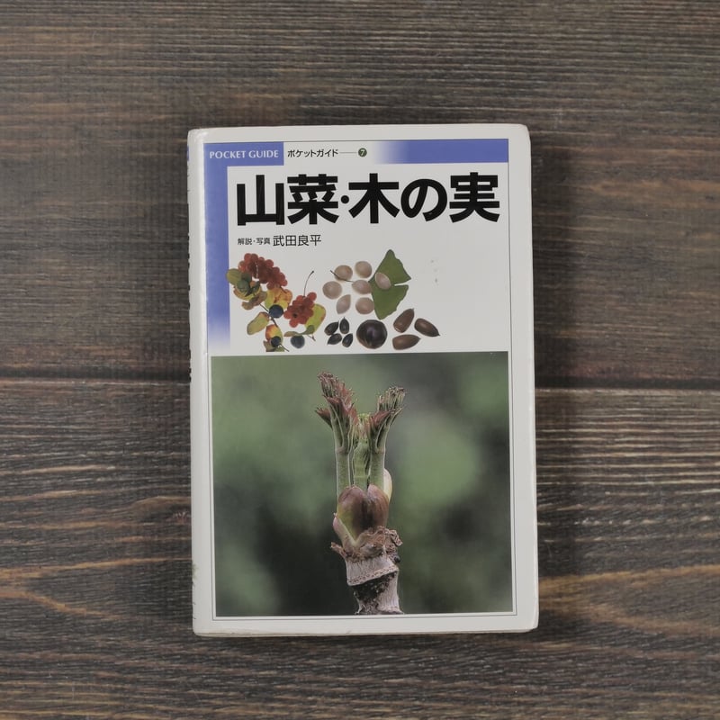 山菜・木の実 解説・写真：武田良平（小学館） | 古書店うみつばめ