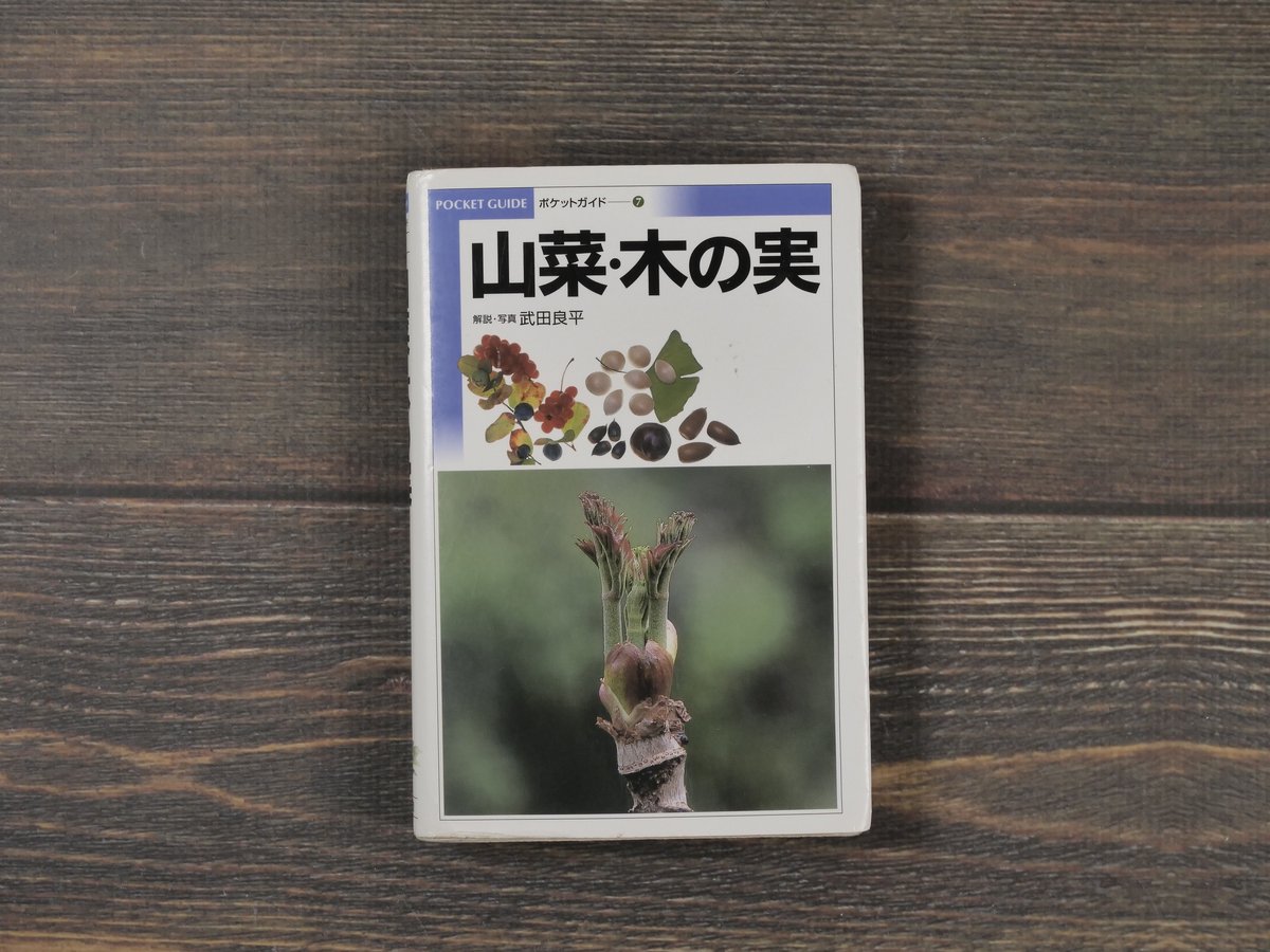 山菜・木の実 解説・写真：武田良平（小学館） | 古書店うみつばめ