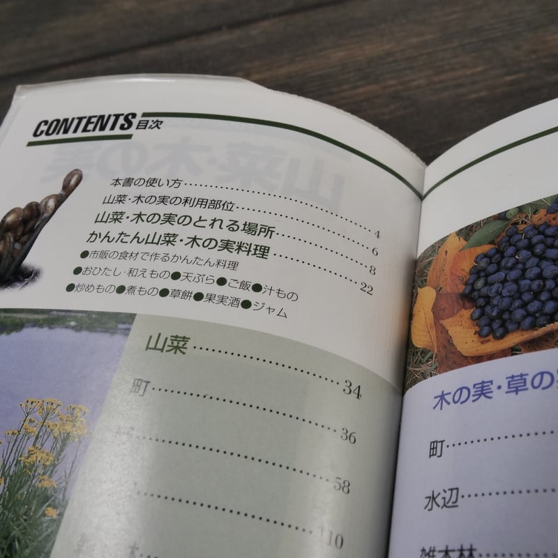 山菜・木の実 解説・写真：武田良平（小学館） | 古書店うみつばめ