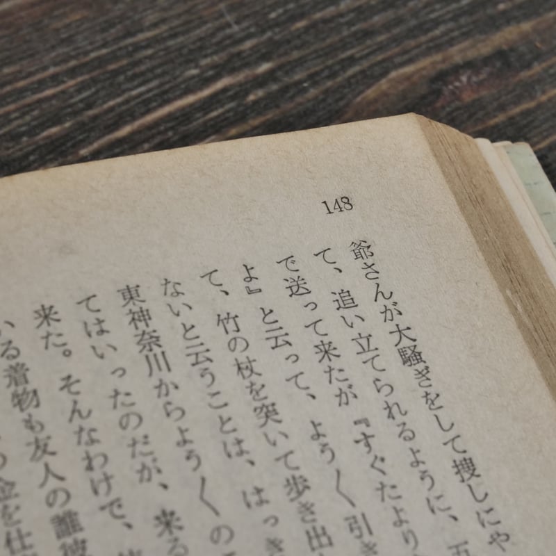 椎の若葉・湖畔手記 葛西善蔵 (旺文社文庫) | 古書店うみつばめ 椎の若葉・湖畔手記 葛西善蔵 (旺文社文庫) | 古書店うみつばめ