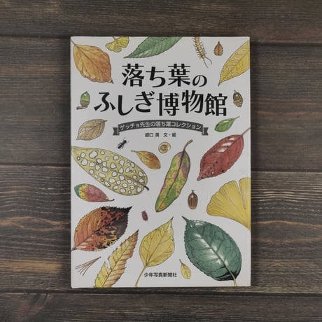 落ち葉のふしぎ博物館　ゲッチョ先生の落ち葉コレクション　盛口満 文・絵