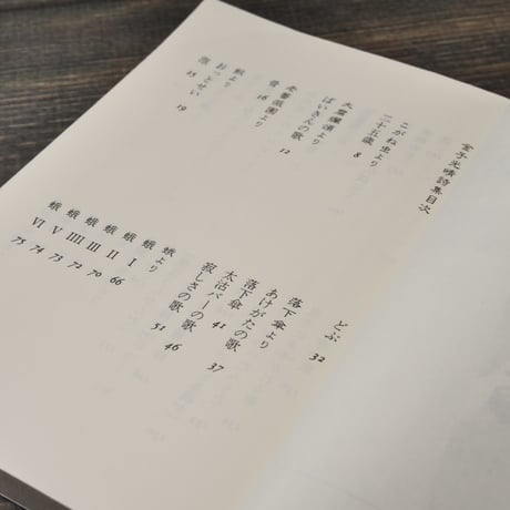 女たちへのいたみうた - 金子光晴詩集　高橋源一郎 編　（集英社文庫）