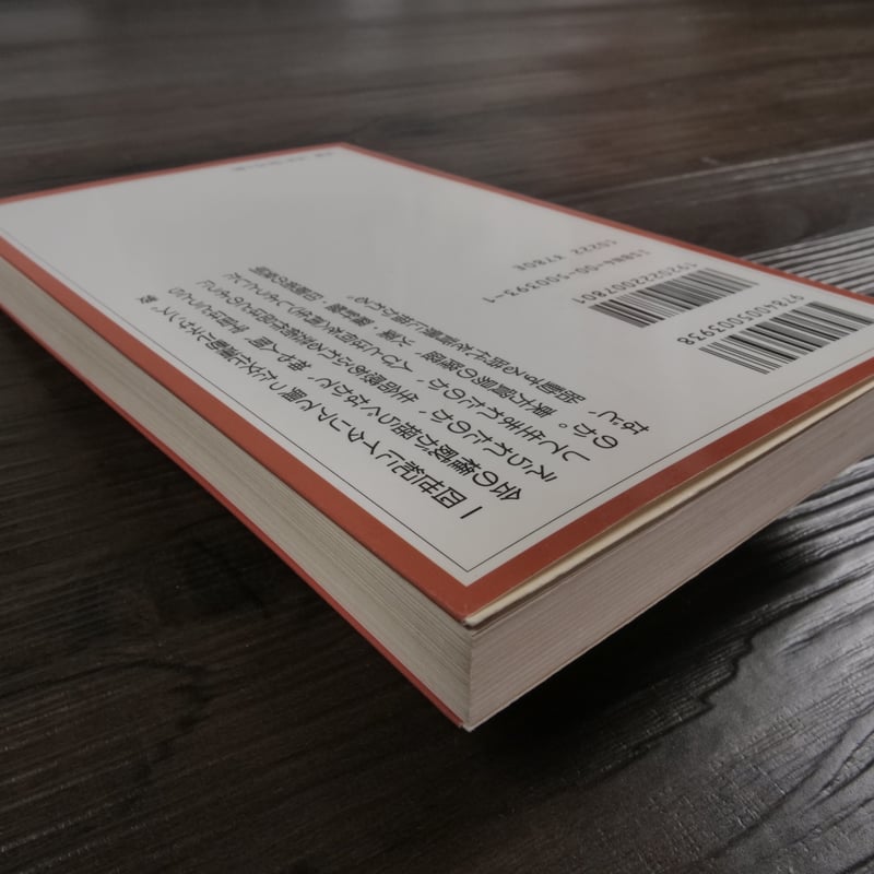 ルネサンス 澤井繁男（岩波ジュニア新書） | 古書店うみつばめ