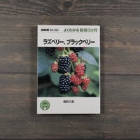 NHK趣味の園芸 よくわかる栽培12か月　ラズベリー、ブラックベリー　國武久登