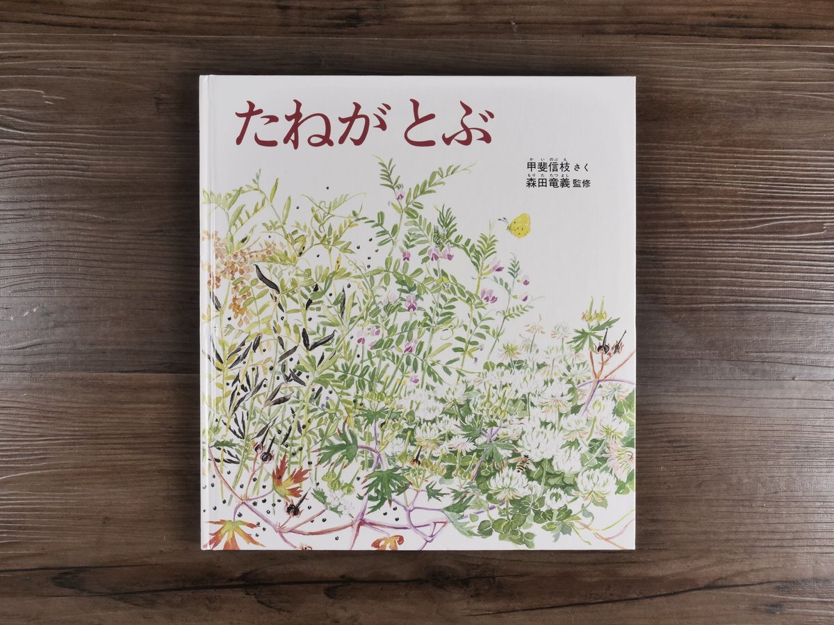 かがくのとも傑作集 どきどきしぜん たねがとぶ(A4判)甲斐信枝 かがくのとも傑作集 どきどきしぜん たねがとぶ(A4判)甲斐信枝
