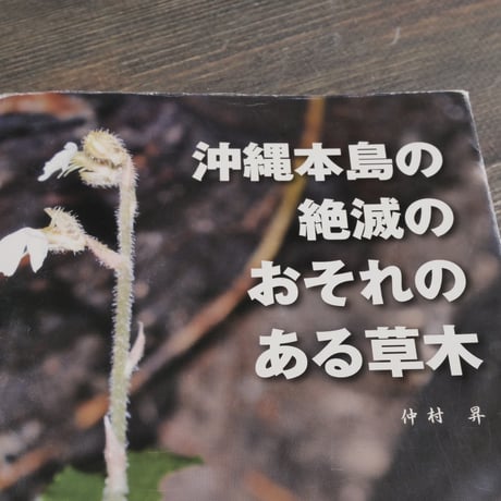 沖縄本島の絶滅のおそれのある草木　仲村昇