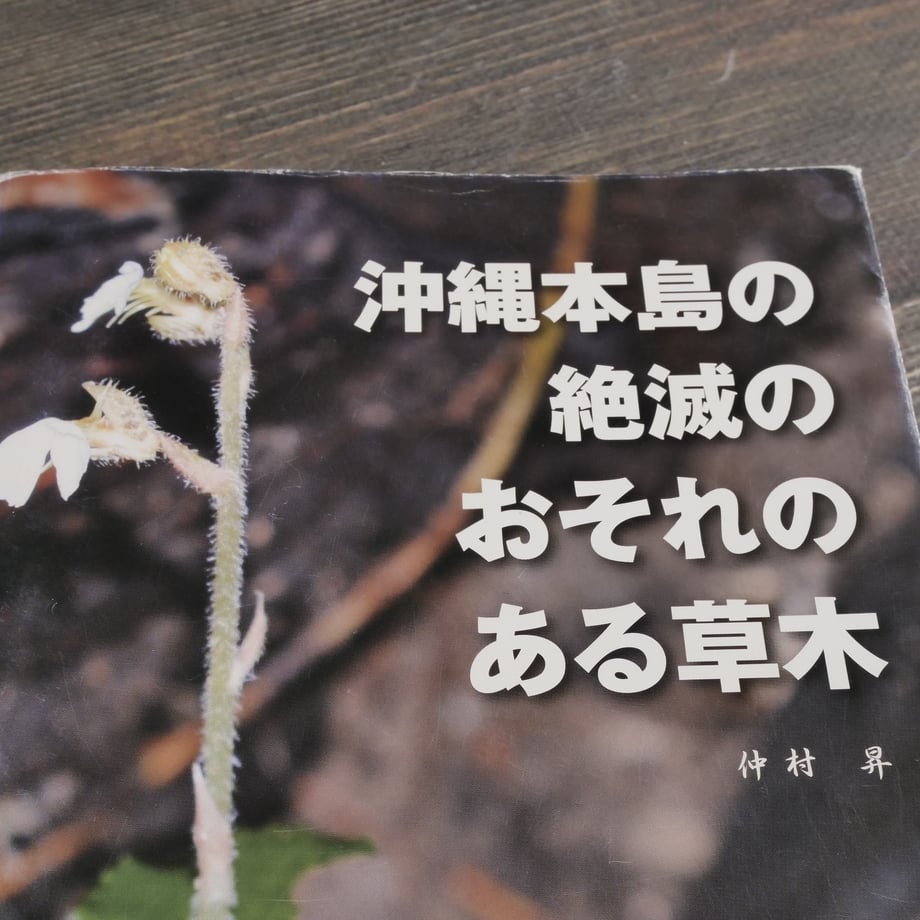 66a35dc222d85600308471ea