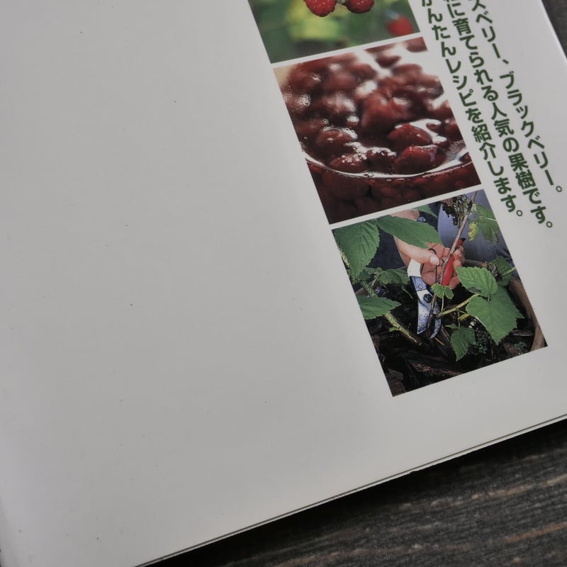NHK趣味の園芸 よくわかる栽培12か月 ラズベリー、ブラックベリー 國