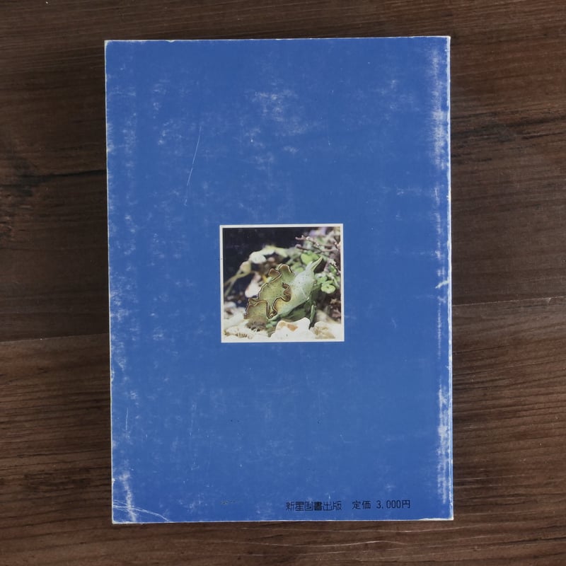 新星図鑑シリーズ第5巻 沖縄海中生物図鑑 貝(B6判)財団法人 新星図鑑シリーズ第5巻 沖縄海中生物図鑑 貝(B6判)財団法人
