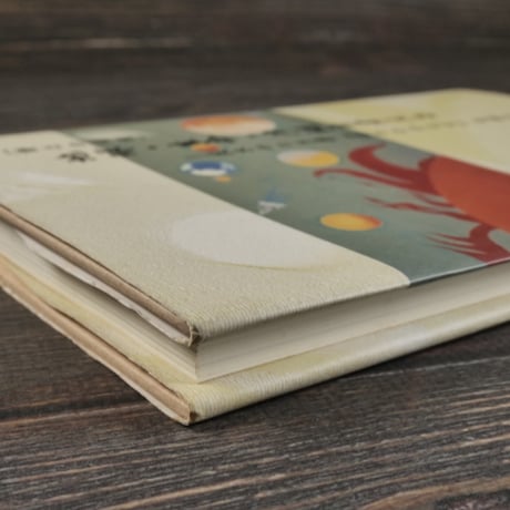 [詩との対話］地球･生命･沖縄を考えるー茨木のり子著『倚りかからず』を読む　比嘉実