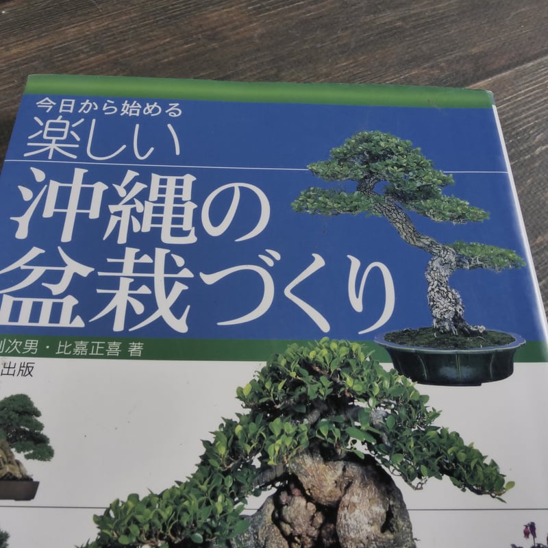 今日から始める 楽しい　沖縄の盆栽づくり 弓削次男・比嘉正喜 著 沖縄出版 今日から始める 沖縄の盆栽づくり 弓削次男 比嘉正喜 | 古書店うみつばめ