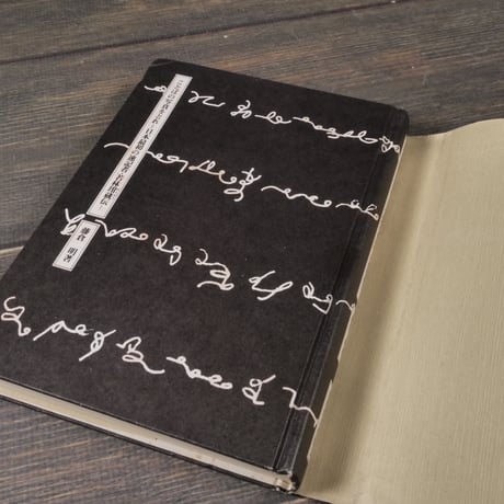 ことばの写真をとれ 日本最初の速記者 若林玵蔵伝　藤倉明
