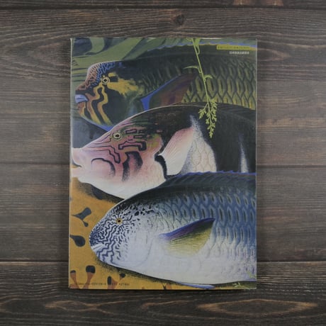 NHK日曜美術館「黒潮の画譜」田中一村作品集（大型本）※再入荷
