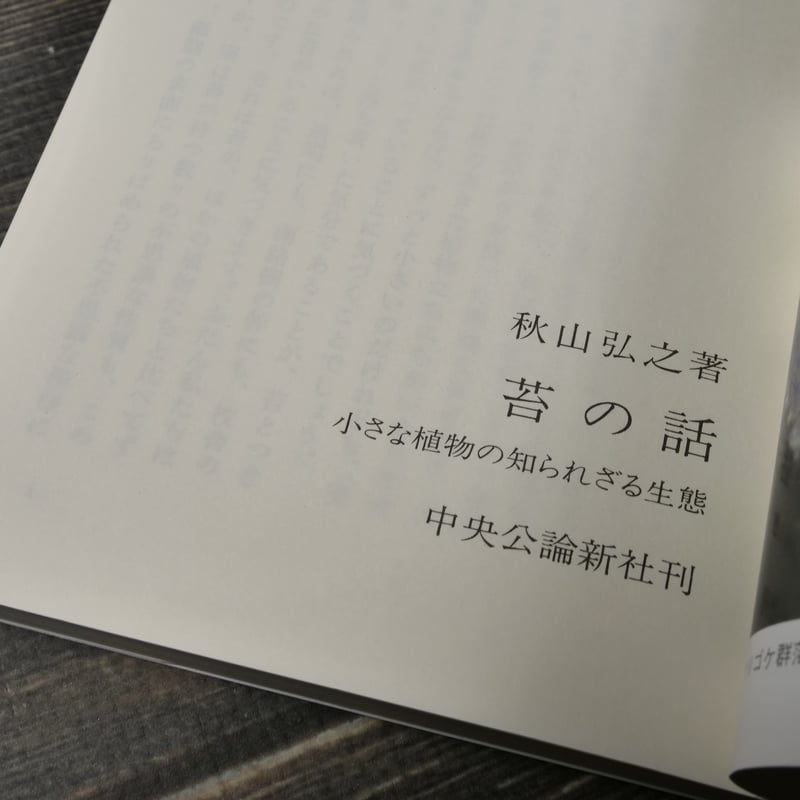 苔の話 小さな植物の知られざる生態 秋山弘之（中公新書） | 古書店