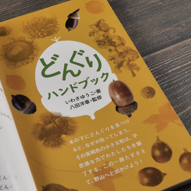 どんぐりハンドブック いわさゆうこ 著 | 古書店うみつばめ