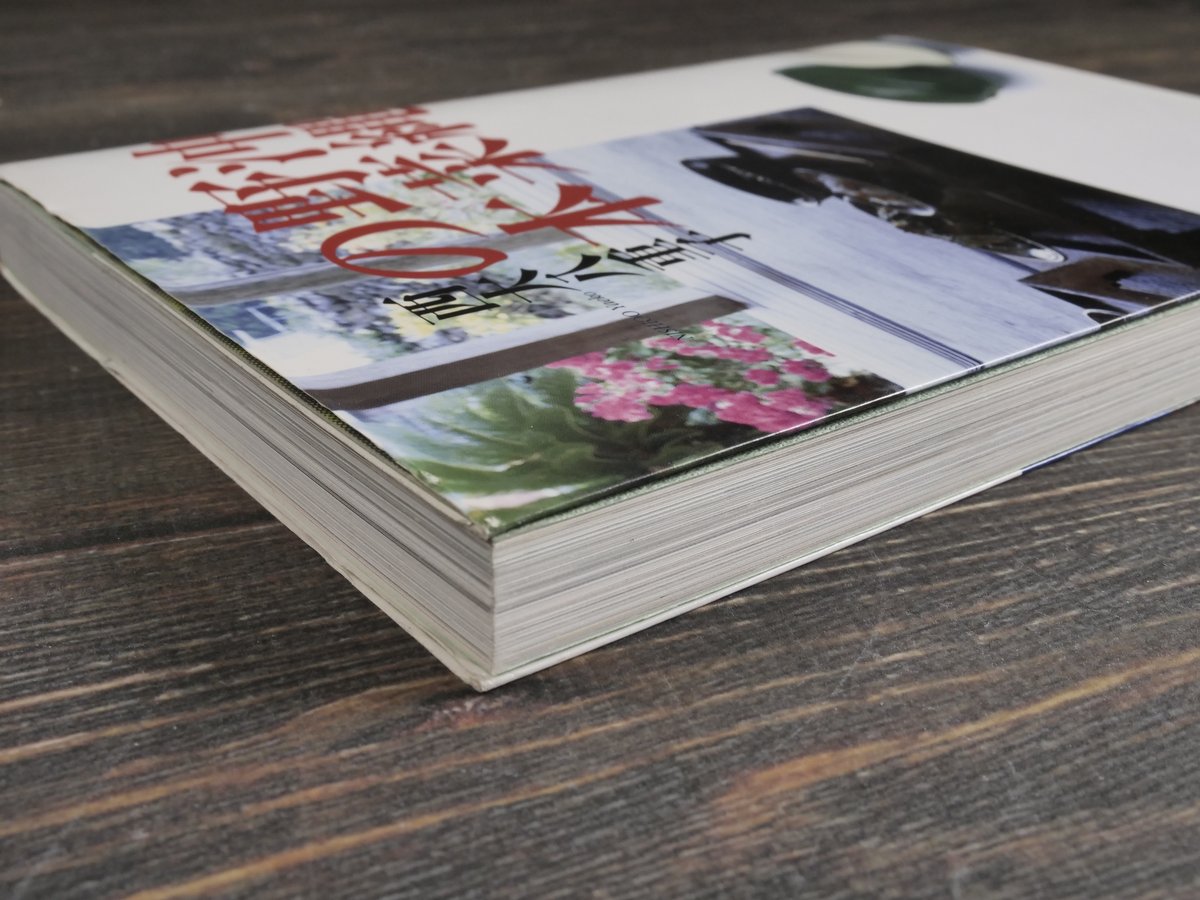 沖縄野菜の本 沖縄野菜の本 西大八重子 | 古書店うみつばめ