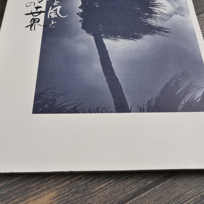 光と風と神々の世界 比嘉康雄：写真・言葉 | 古書店うみつばめ