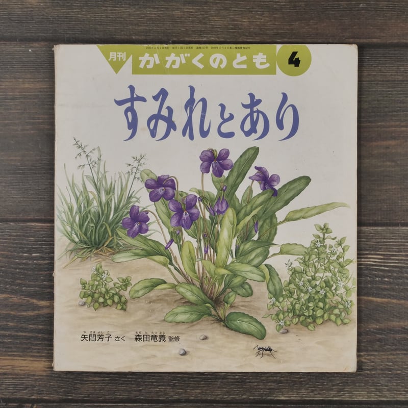 すみれとあり 矢間芳子 さく 森田竜義 監修 | 古書店うみつばめ