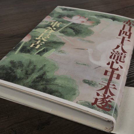 赤目四十八瀧心中未遂  車谷長吉