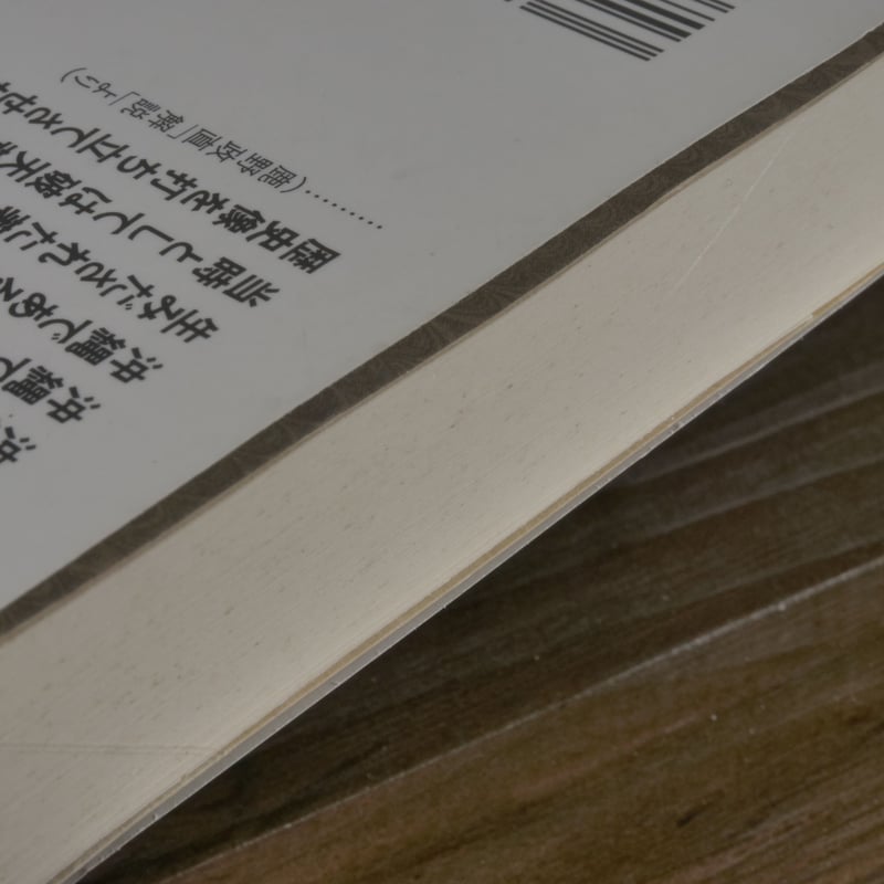 沖縄女性史（平凡社ライブラリー）伊波普猷 | 古書店うみつばめ