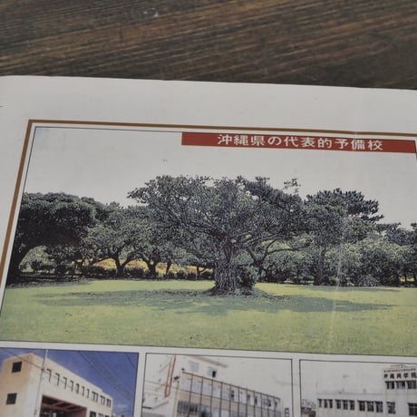 新沖縄文学74　1987年冬季号　特集 病めるマスコミー体質を問う