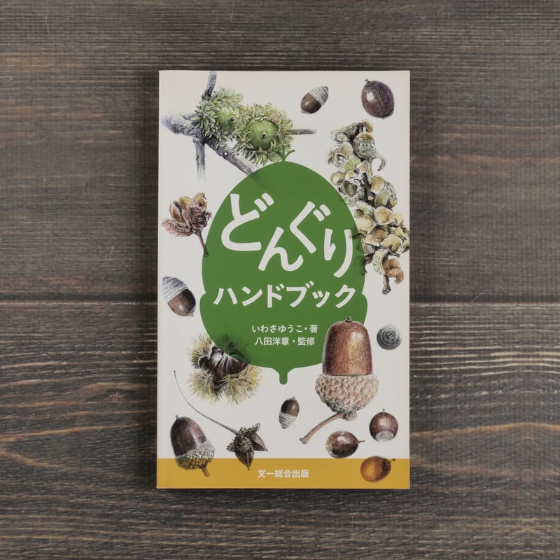 どんぐりハンドブック いわさゆうこ 著 | 古書店うみつばめ