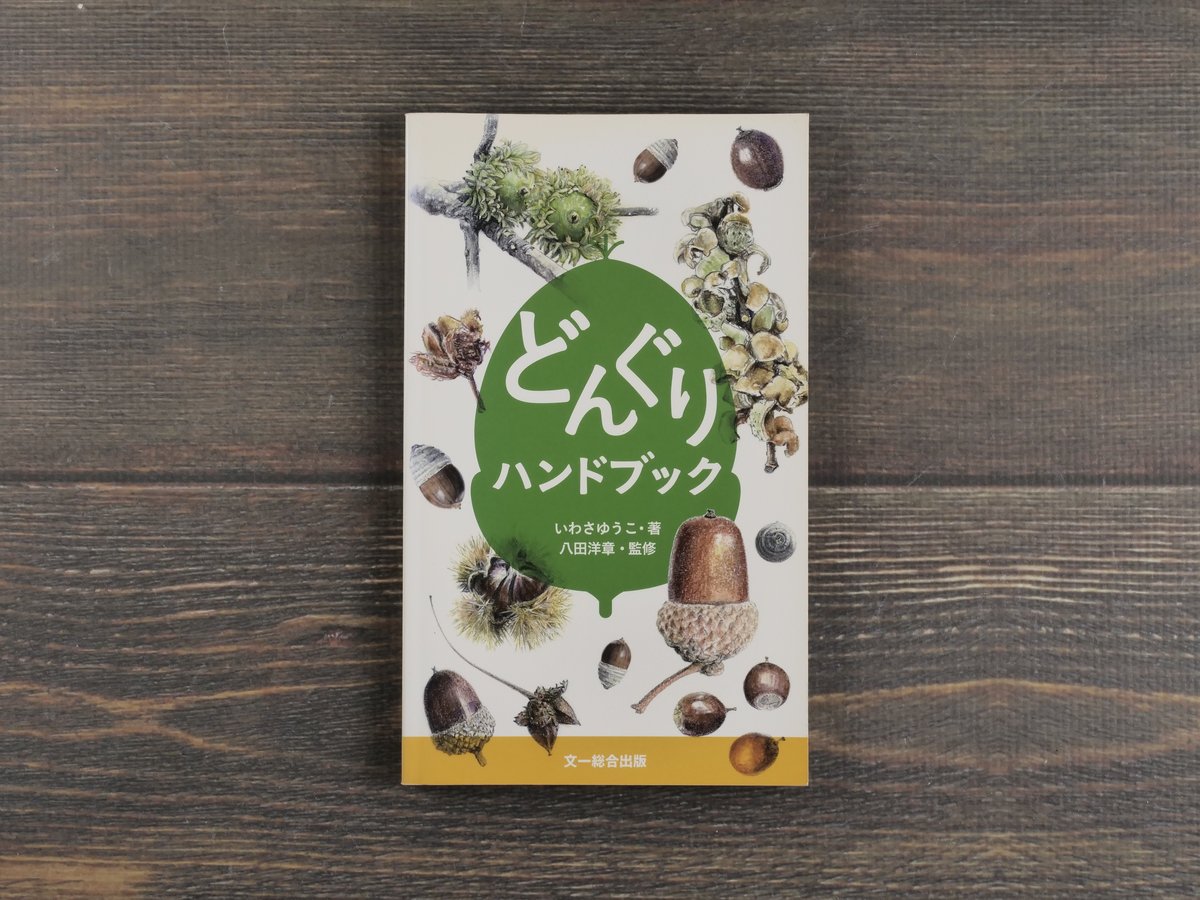 どんぐり　ページ どんぐりハンドブック いわさゆうこ 著 | 古書店うみつばめ