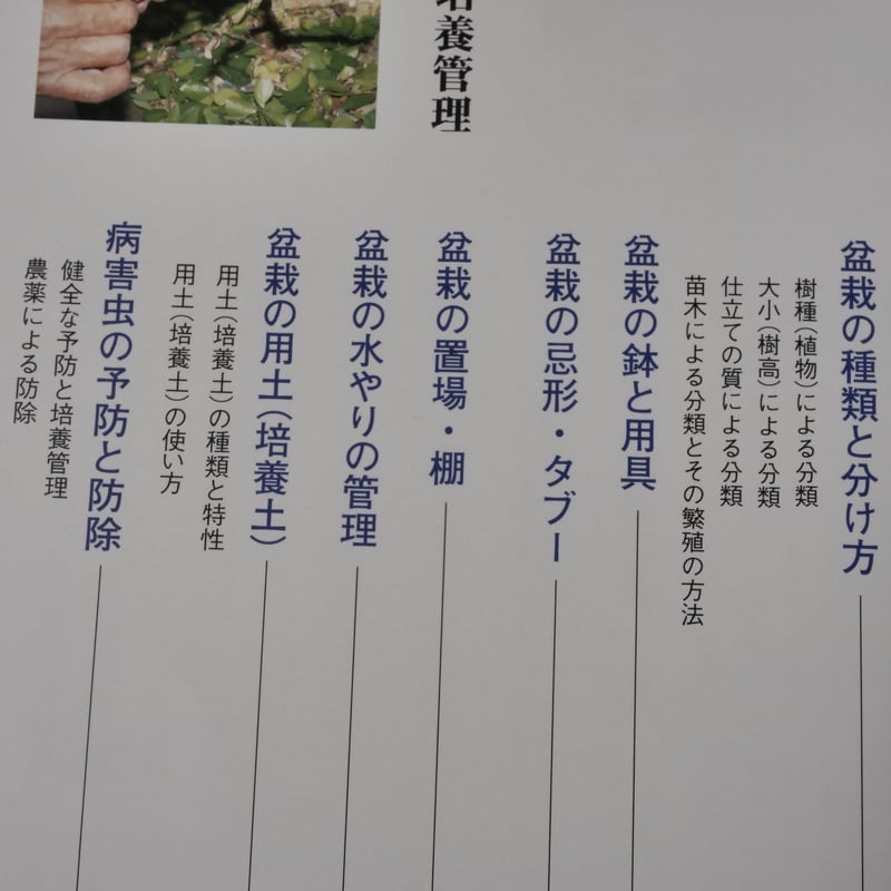 今日から始める 沖縄の盆栽づくり 弓削次男 比嘉正喜 | 古書店うみつばめ