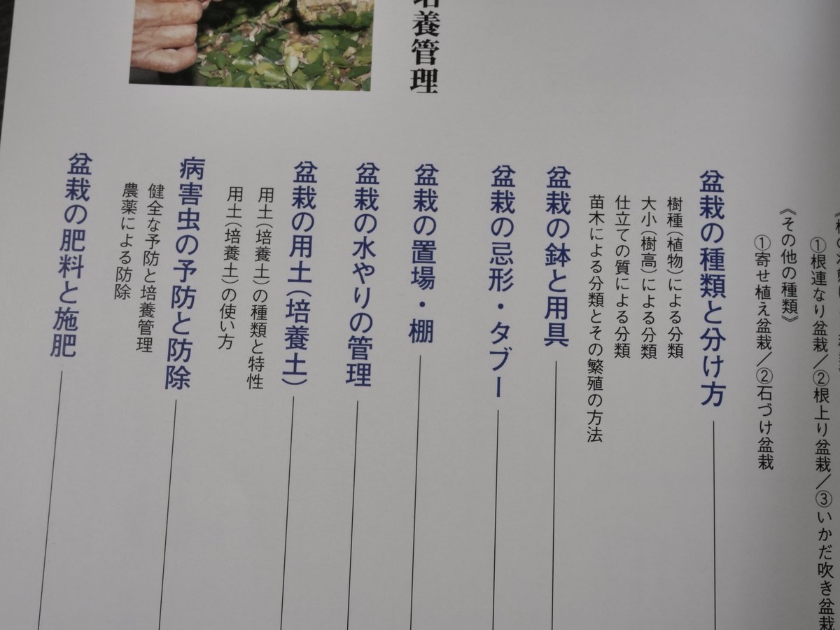 今日から始める 沖縄の盆栽づくり 弓削次男 比嘉正喜 | 古書店うみつばめ