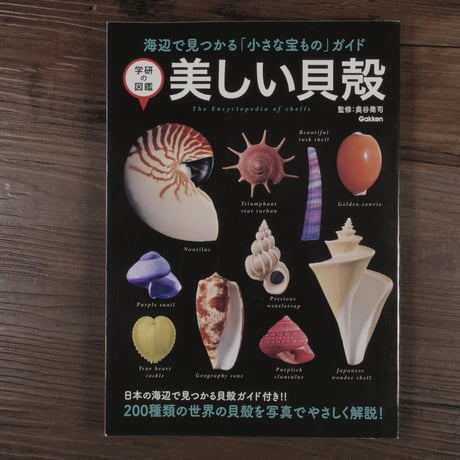 美しい貝殻（学研の図鑑）（A5判）奥谷喬司