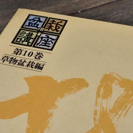 日本盆栽講座　第10巻　草物盆栽編　日本盆栽講座刊行会