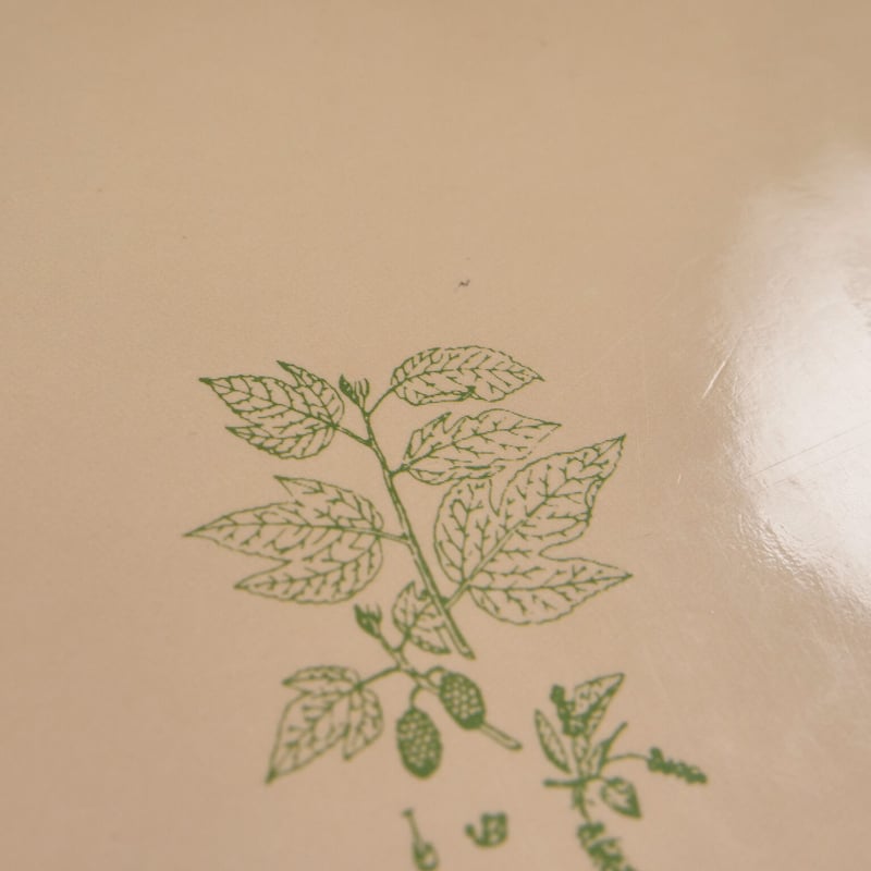 入門沖縄の薬草 吉川敏男 | 古書店うみつばめ