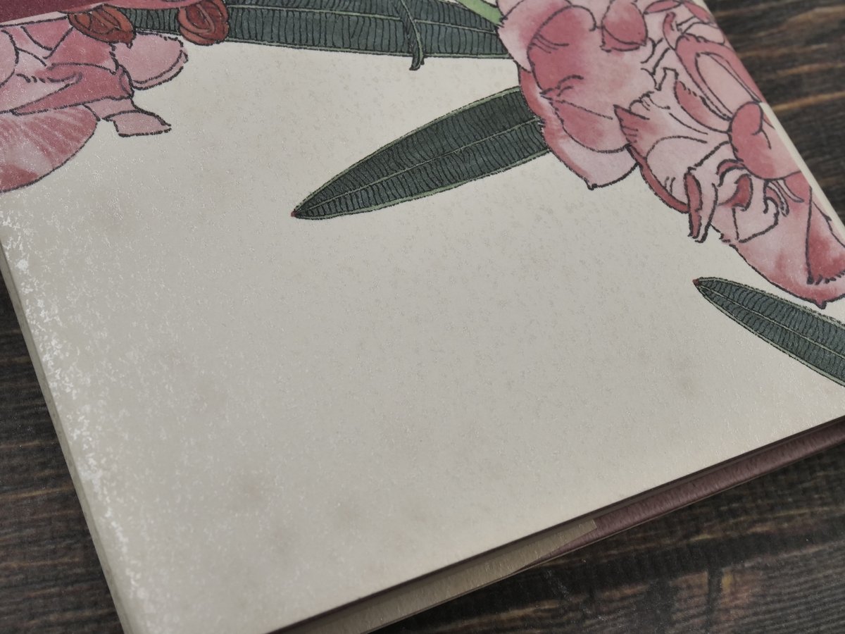 ひとりのおんな 加藤治子 | 古書店うみつばめ