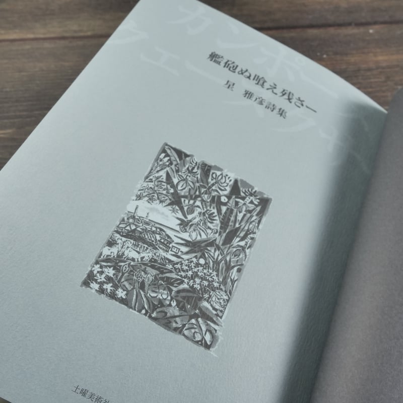 艦砲ぬ喰え残さ- 星雅彦詩集/土曜美術社出版販売/星雅彦（単行本） Amazon.co.jp: 艦砲ぬ喰え残さー : 星 雅彦: 本