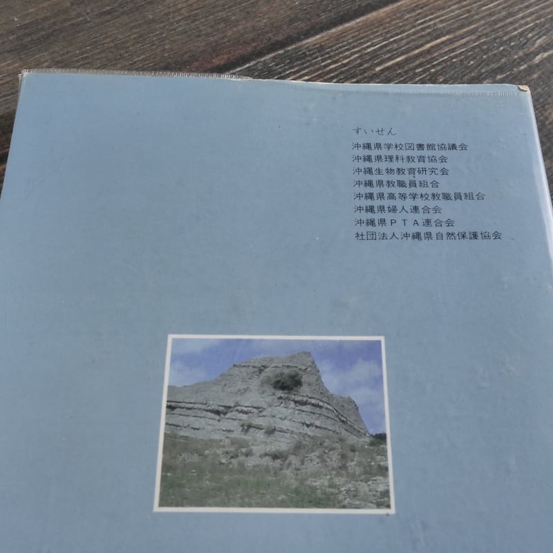 沖縄風土記 琉球思索紀行　上野霄里　カバー初版第一刷　未読美品　入手困難希少資料 知れば知るほどおもしろい 琉球王朝のすべて :上里 隆史,喜納 大作