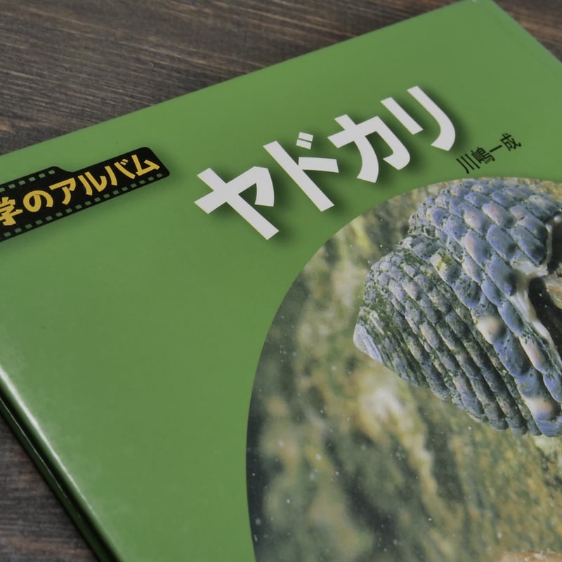 科学のアルバム ヤドカリ 川嶋一成 | 古書店うみつばめ