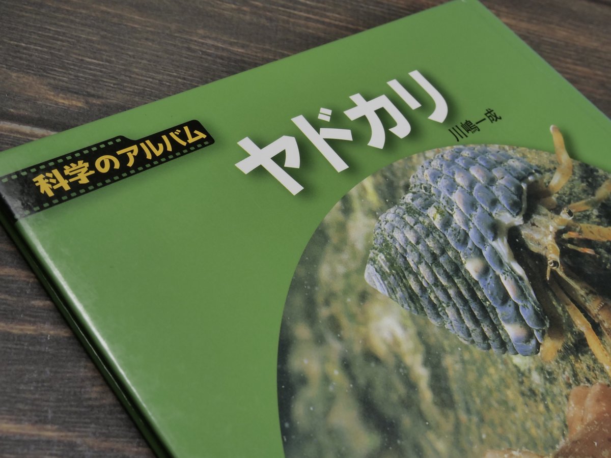 科学のアルバム ヤドカリ 川嶋一成 | 古書店うみつばめ
