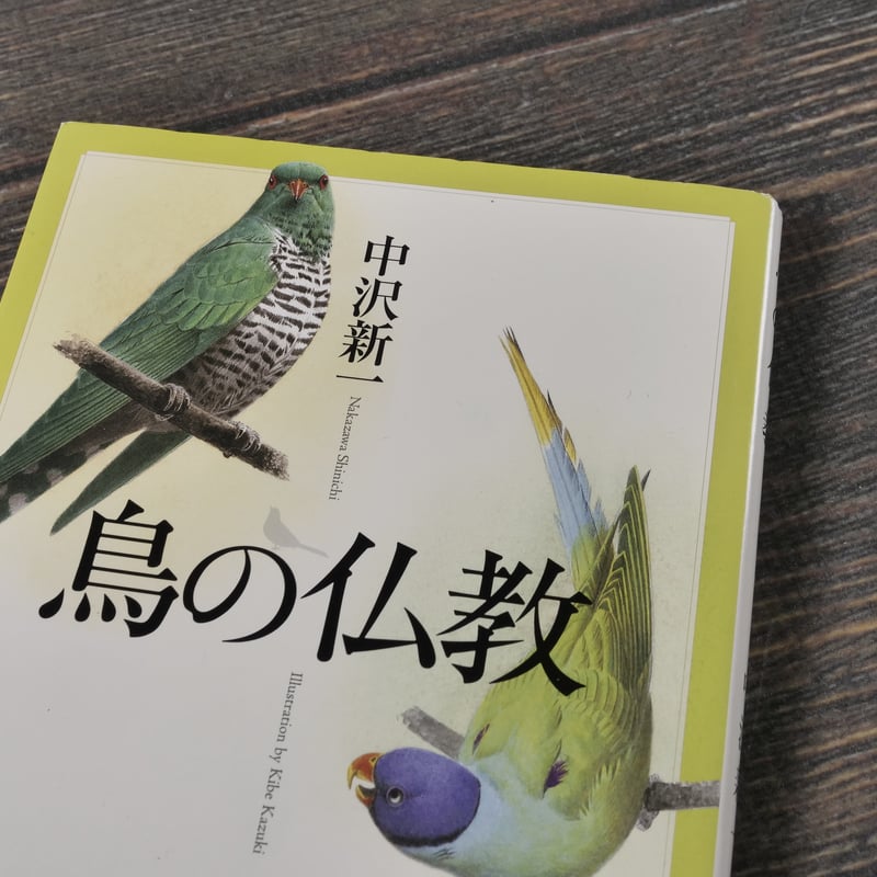 鳥の仏教 中沢 新一（新潮文庫）※再入荷 | 古書店うみつばめ