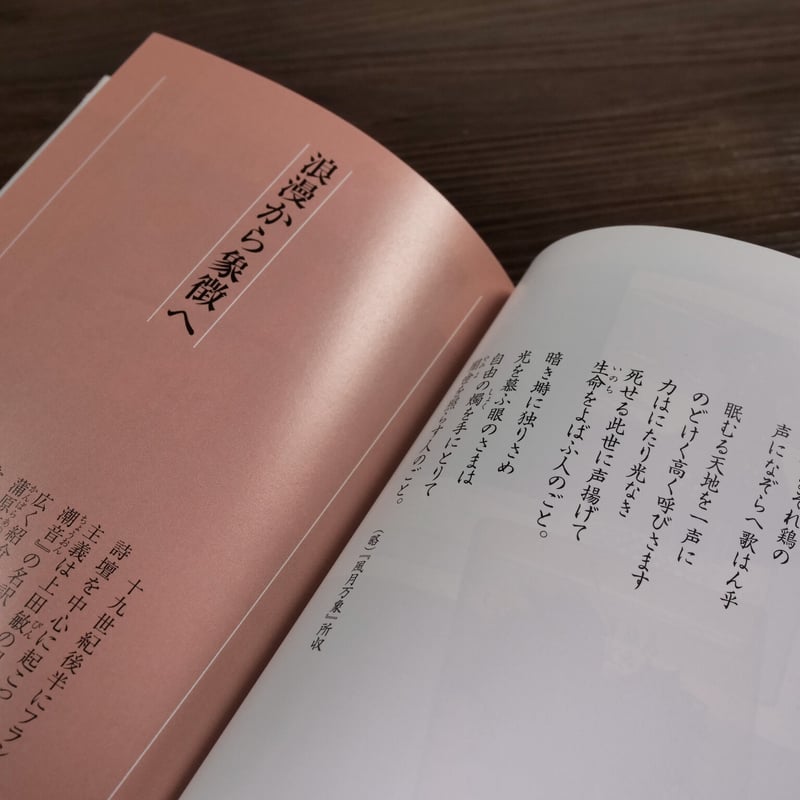 明治・大正 詩集の装幀(紫紅社文庫)工藤早弓 | 古書店うみつばめ 明治・大正 詩集の装幀(紫紅社文庫)工藤早弓 | 古書店うみつばめ