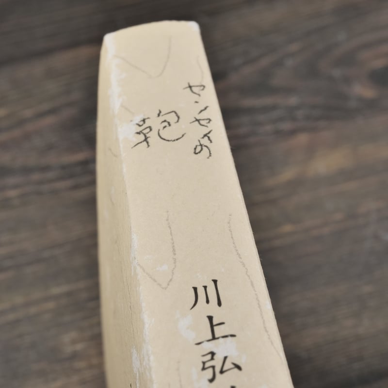 センセイの鞄 川上弘美（初版） | 古書店うみつばめ