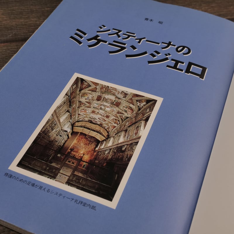 ショトル・ミュージアム システィーナのミケランジェロ（A5判