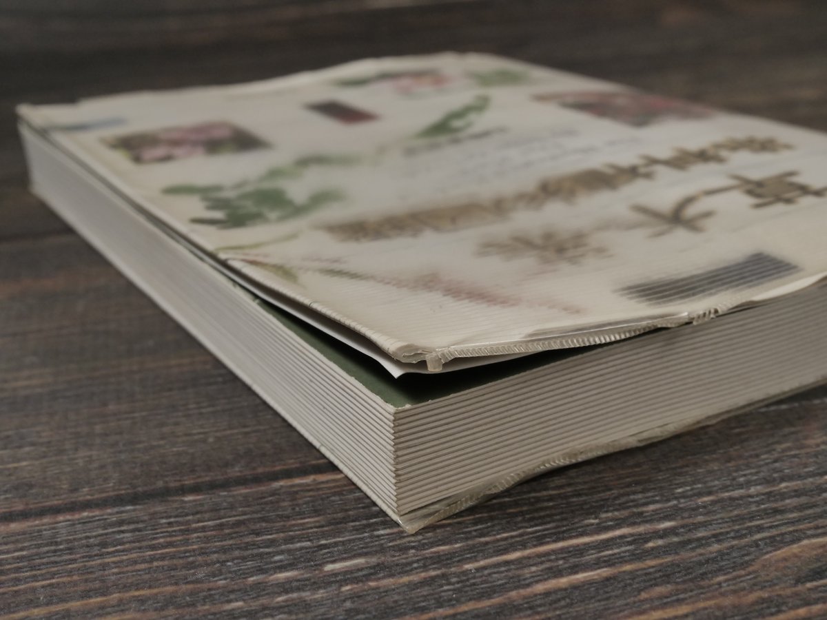 草木染 染料植物図鑑 山崎青樹 著 | 古書店うみつばめ